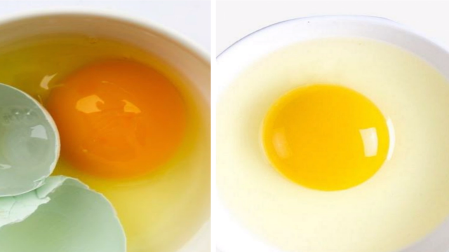 乌鸡蛋和普通鸡蛋有什么区别?