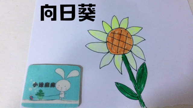 怎么画向日葵