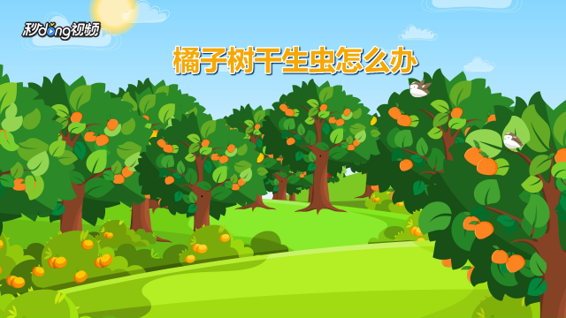 潮虫怎么彻底消灭