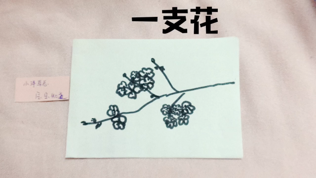 简笔画蔷薇花 简单好学