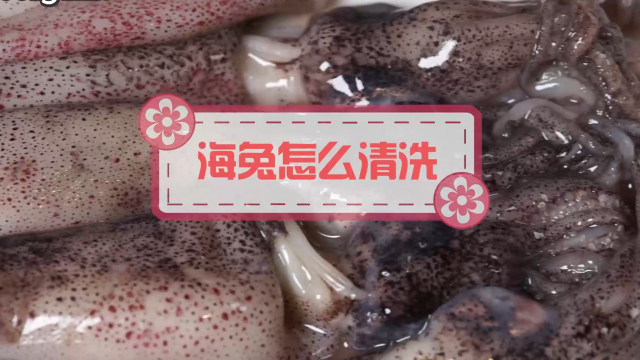 00:57   白灼活虾的做法   合肥双宇动漫   01:03   海兔怎么清洗