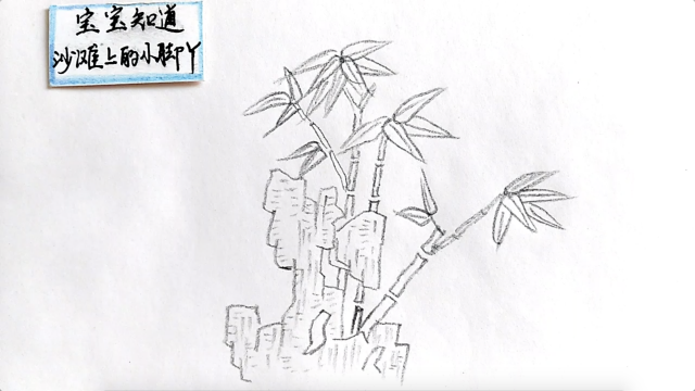 假山和竹子简笔画怎么画?