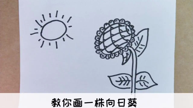 简笔画:向阳向日葵2