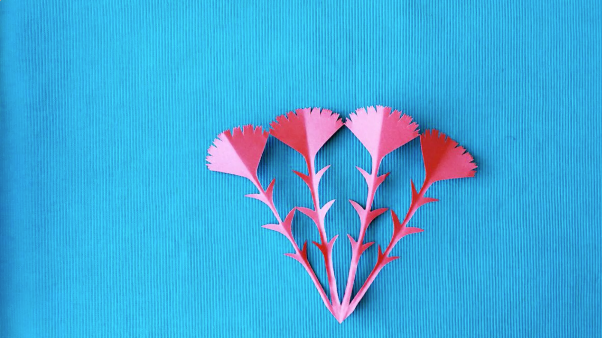 亲子手工折纸康乃馨怎么做