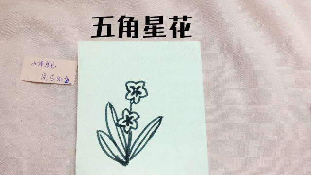 如何画简笔玫瑰花