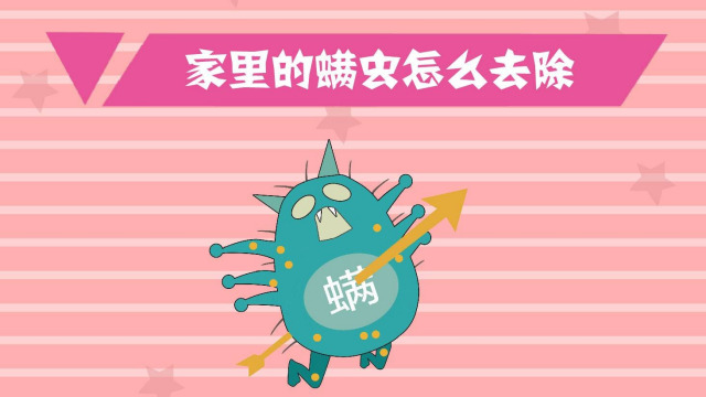 妙招好生活 00:51 怎样清除凉席上的螨虫 罐头视频 00:37
