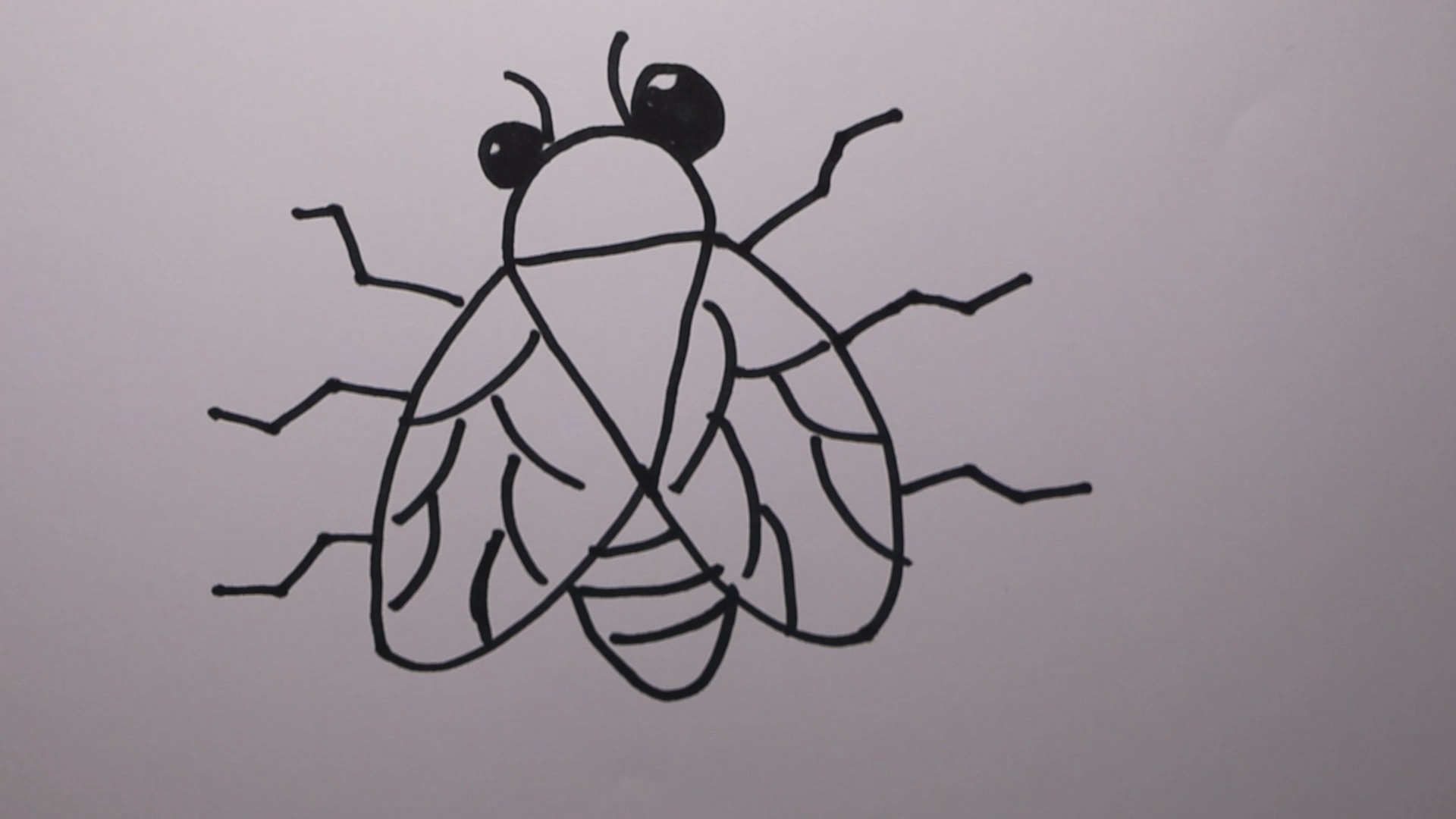 知了的简笔画怎样画?