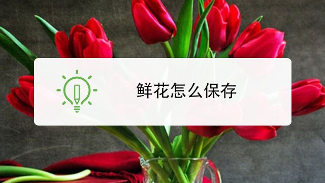 花店买的鲜花怎么保存 百度经验