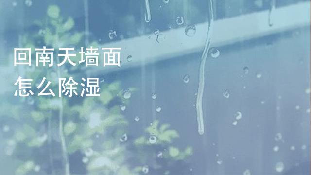 回南天要怎么预防潮湿 百度经验 回南天要怎么预防潮湿 百度经验