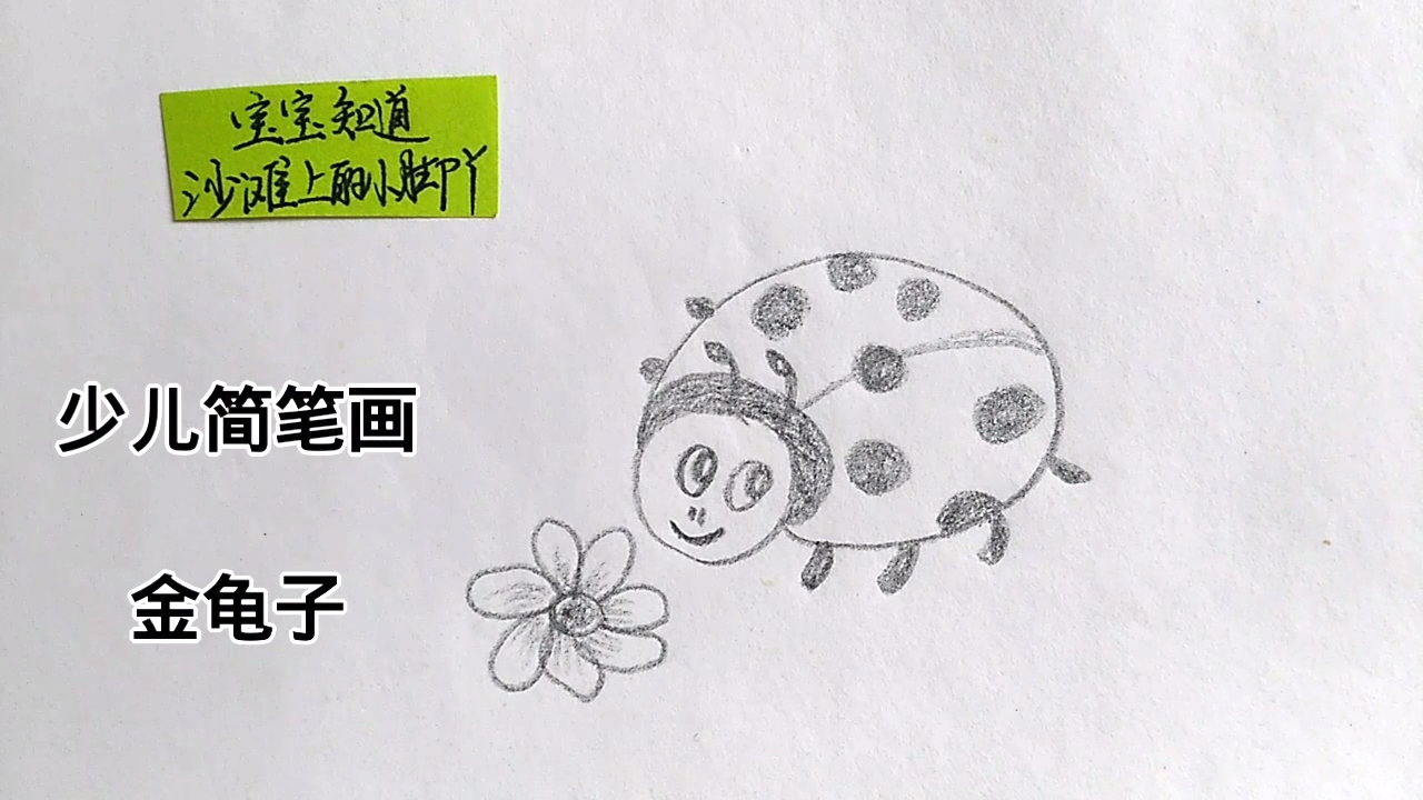 少儿简笔画:金龟子