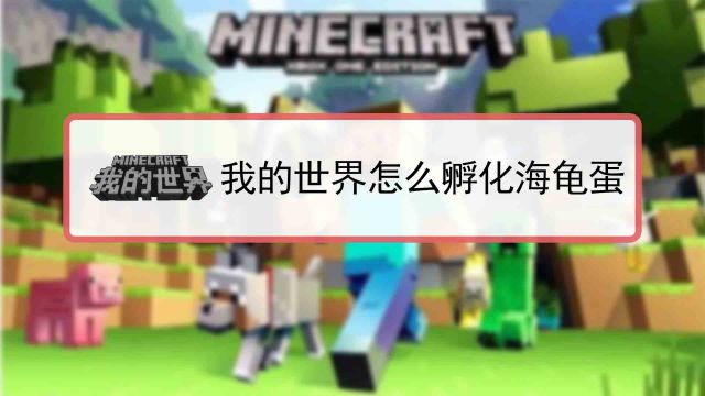 我的世界怎么孵化海龟蛋 百度经验