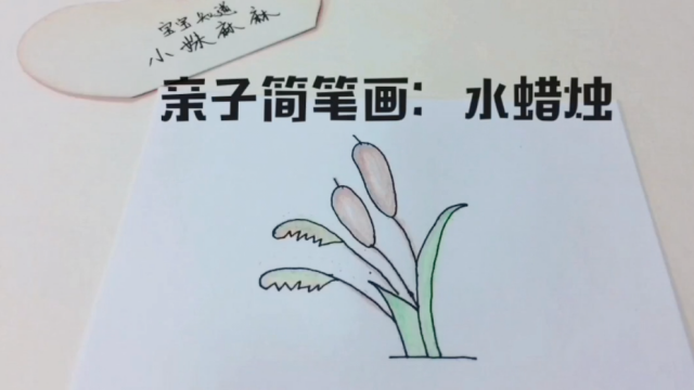 亲子简笔画:水蜡烛