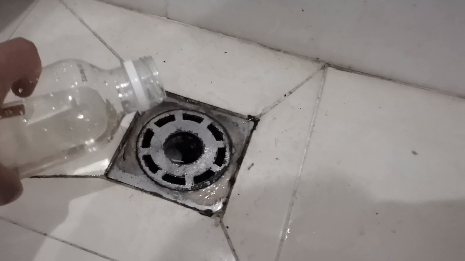 怎样去除下水道的小蚊子