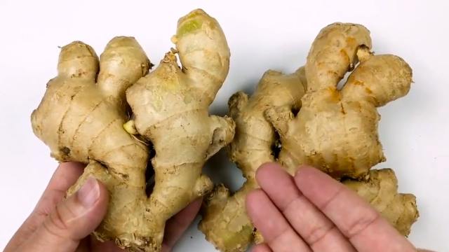 生姜的种植方法 百度经验