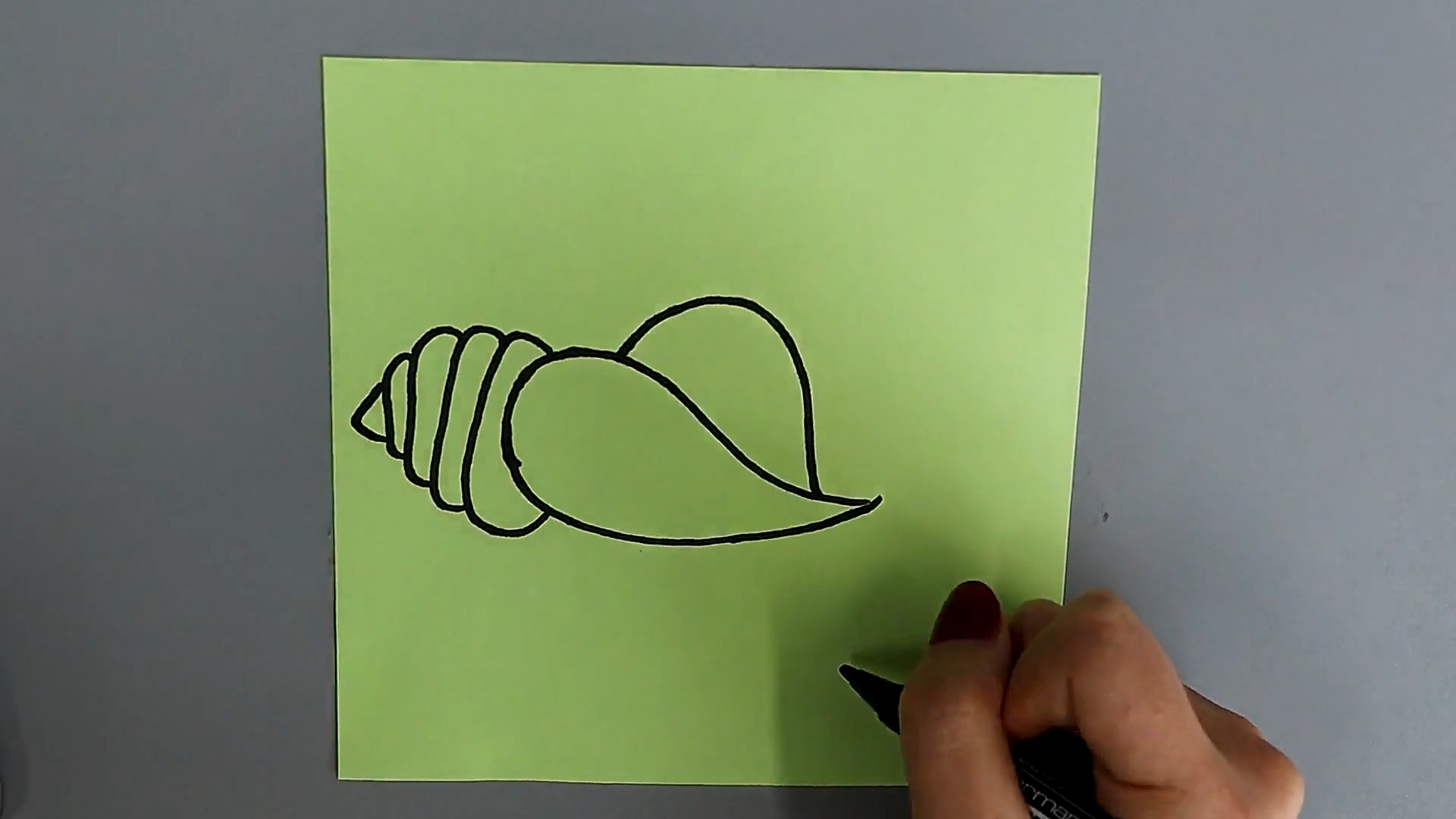 海螺的简笔画如何画?