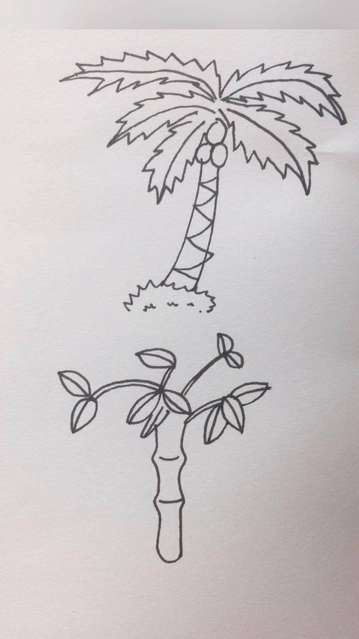 如何画小树简笔画?