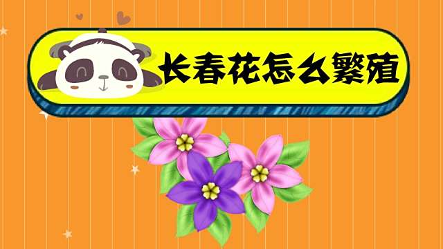 长春花怎么繁殖 百度经验 长春花怎么繁殖 百度经验