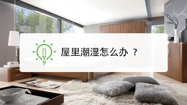 屋里潮湿怎么办