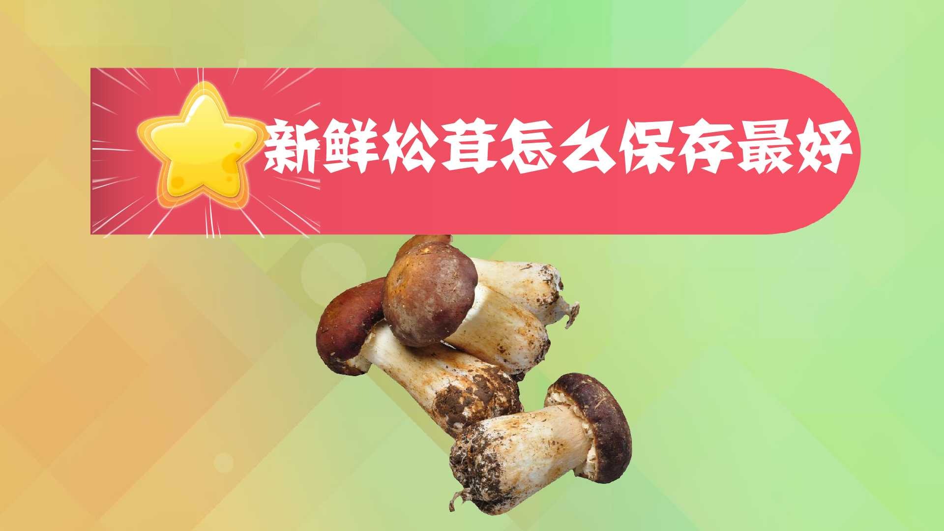 鲜松茸怎么保存-百度经验