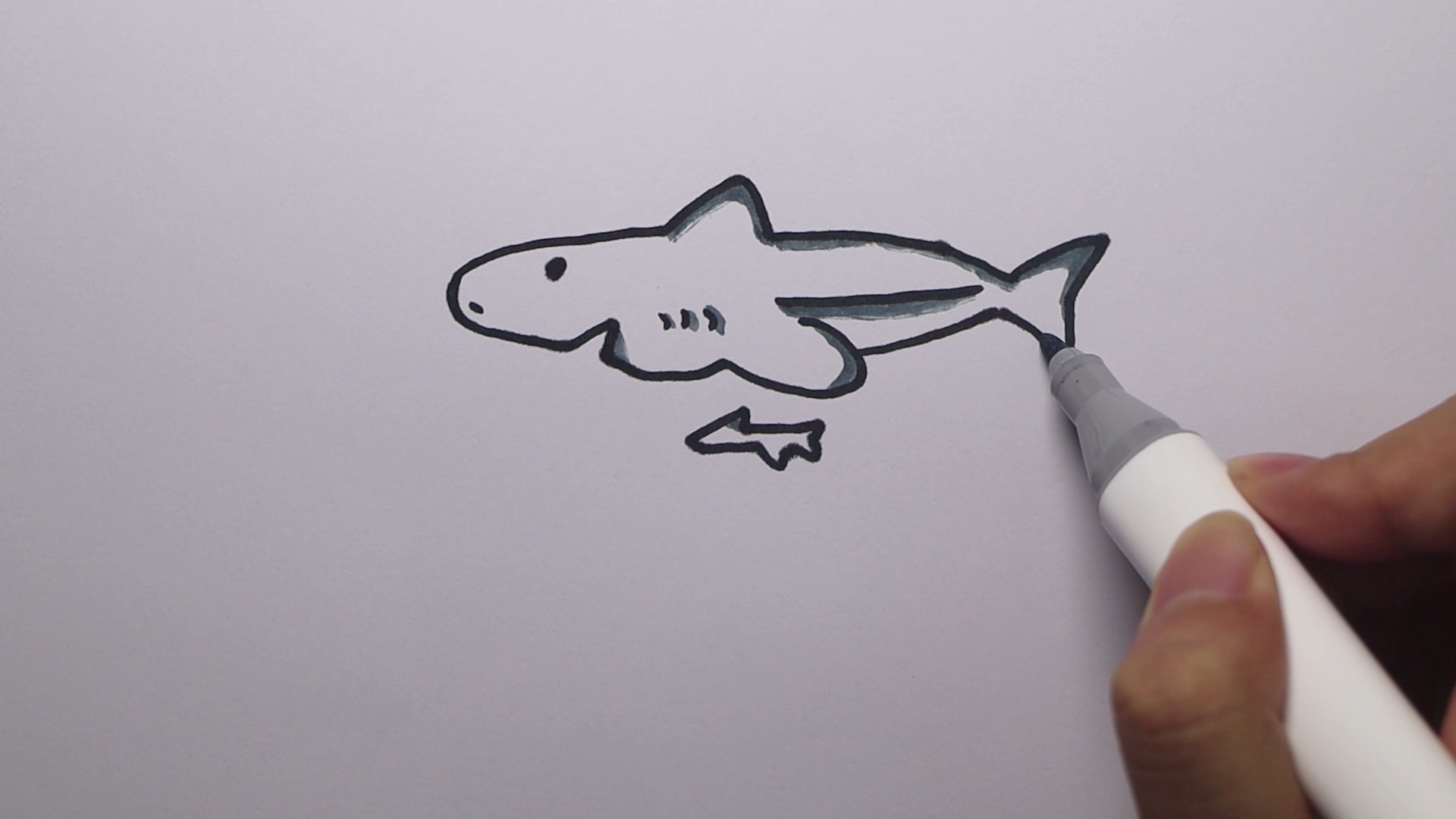僵尸鲨鱼怎么画大白鲨图片