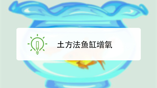 如何用土方法为鱼缸增氧