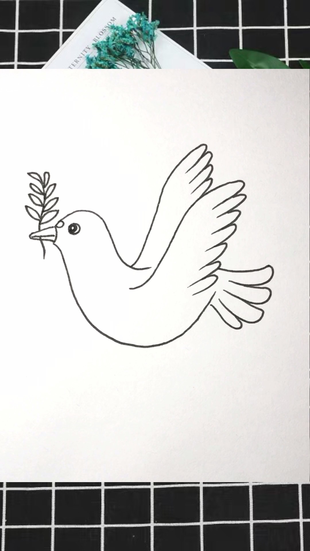 白鸽的简笔画儿童图片