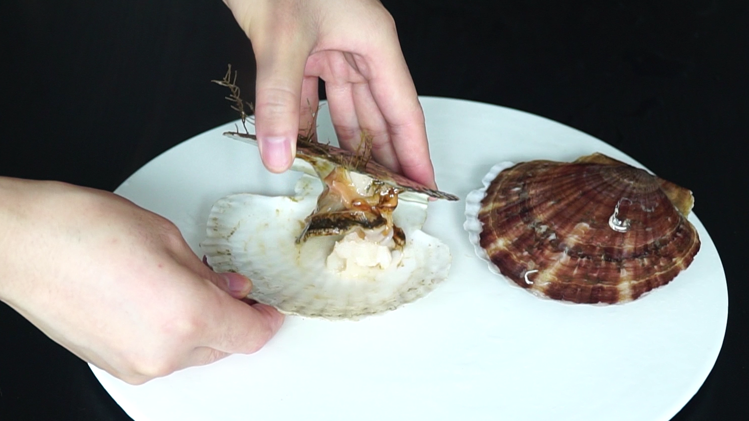 扇贝的处理方法
