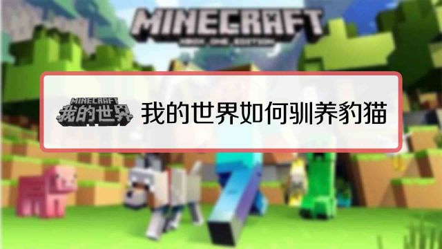 我的世界如何雕刻南瓜 百度经验 我的世界如何雕刻南瓜 百度经验
