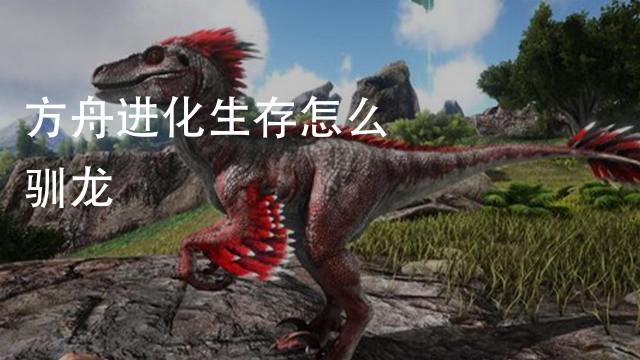 方舟生存进化怎么抓龙 百度经验 方舟生存进化怎么抓龙 百度经验