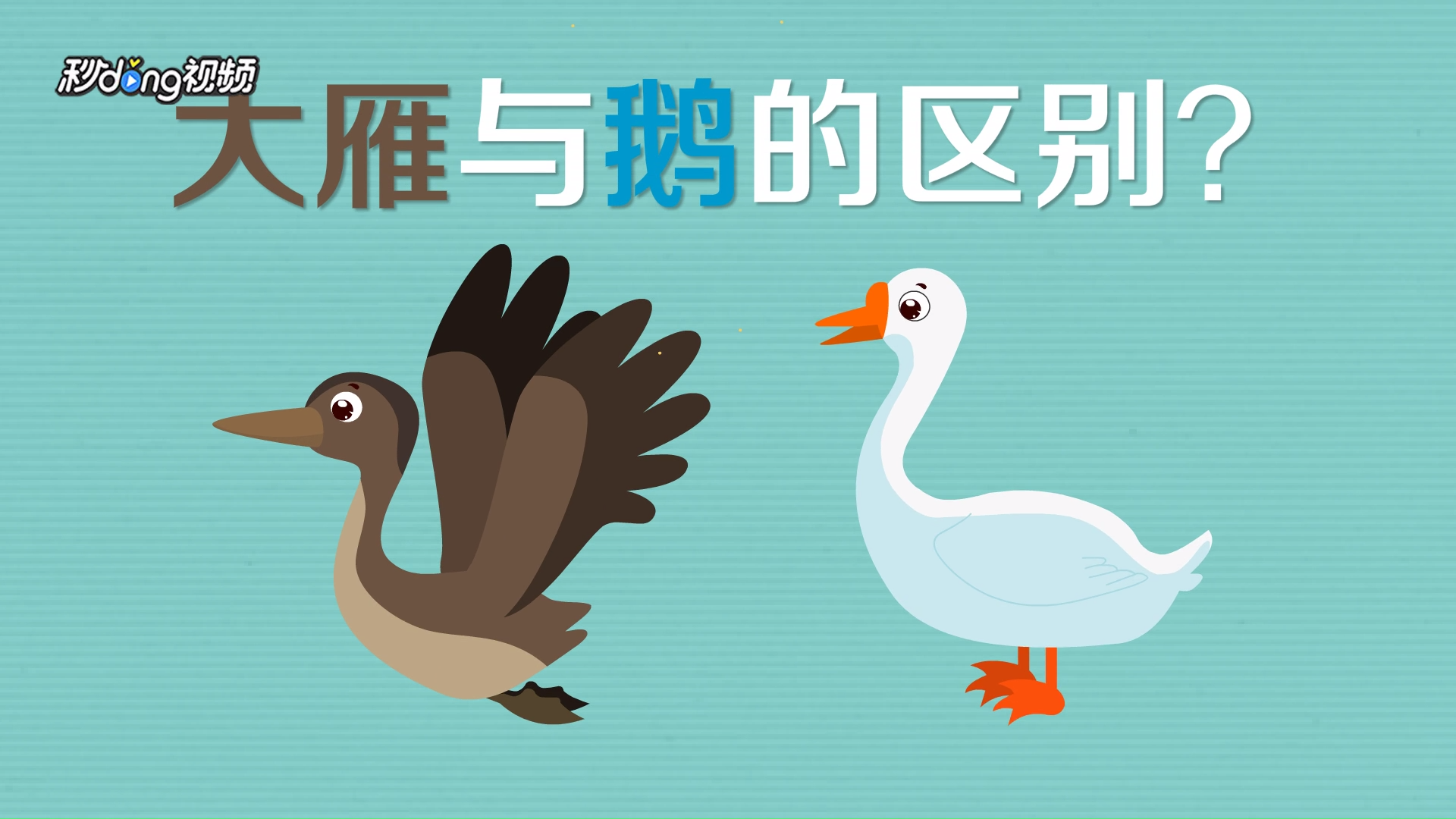 大雁与鹅的区别有哪些