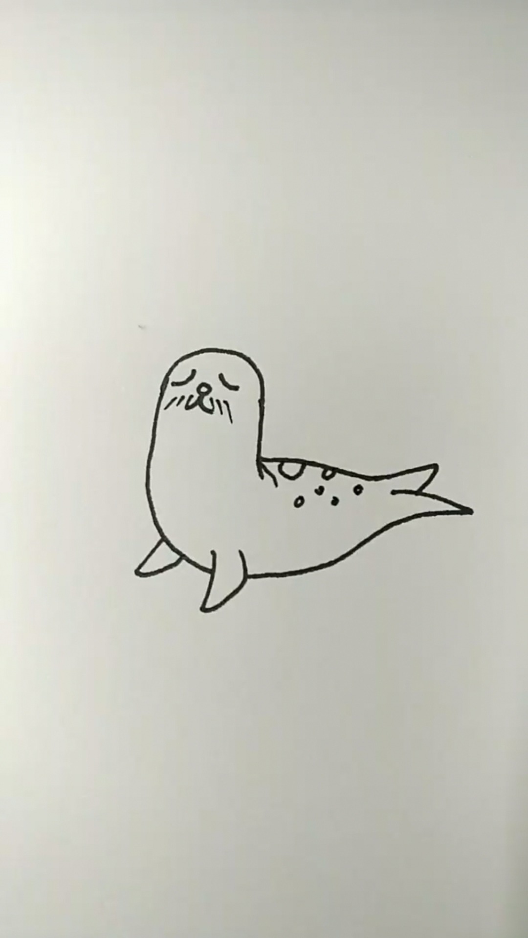 可爱的小海豹怎么画图片