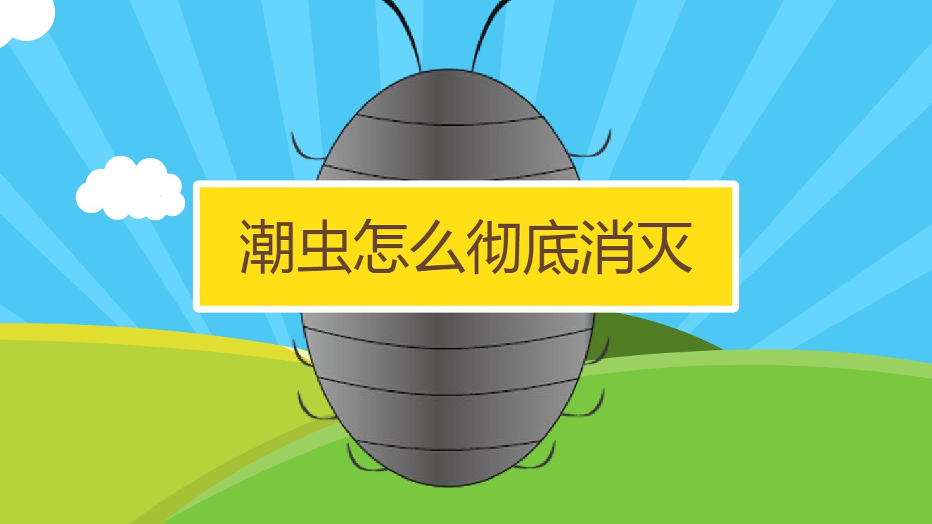 潮虫怎么彻底消灭