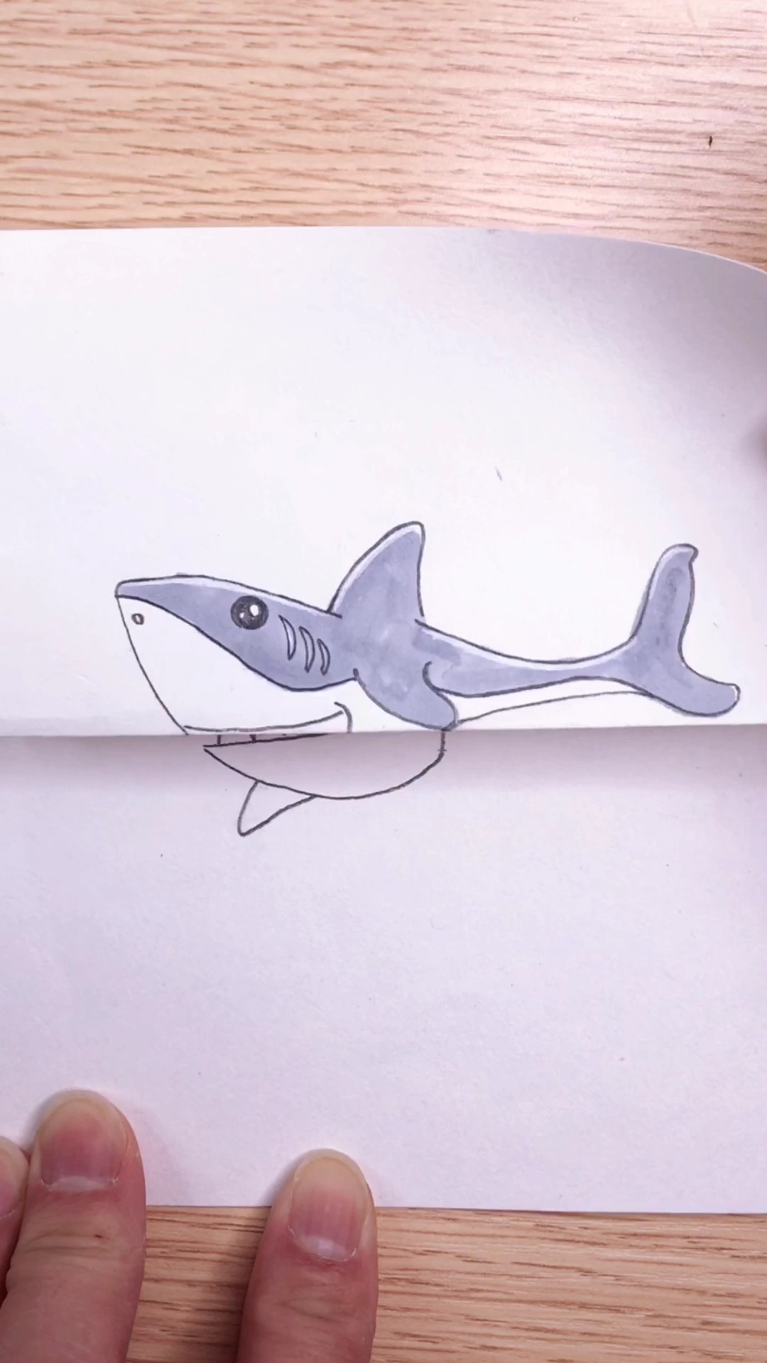 鲨鱼骨架怎么画图片