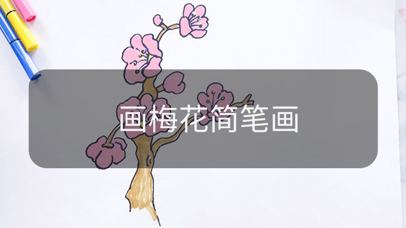 如何畫梅花簡筆畫