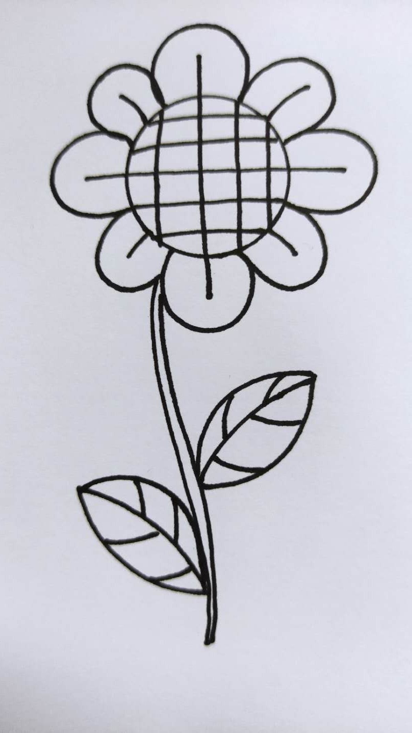 怎样画简笔画向日葵?