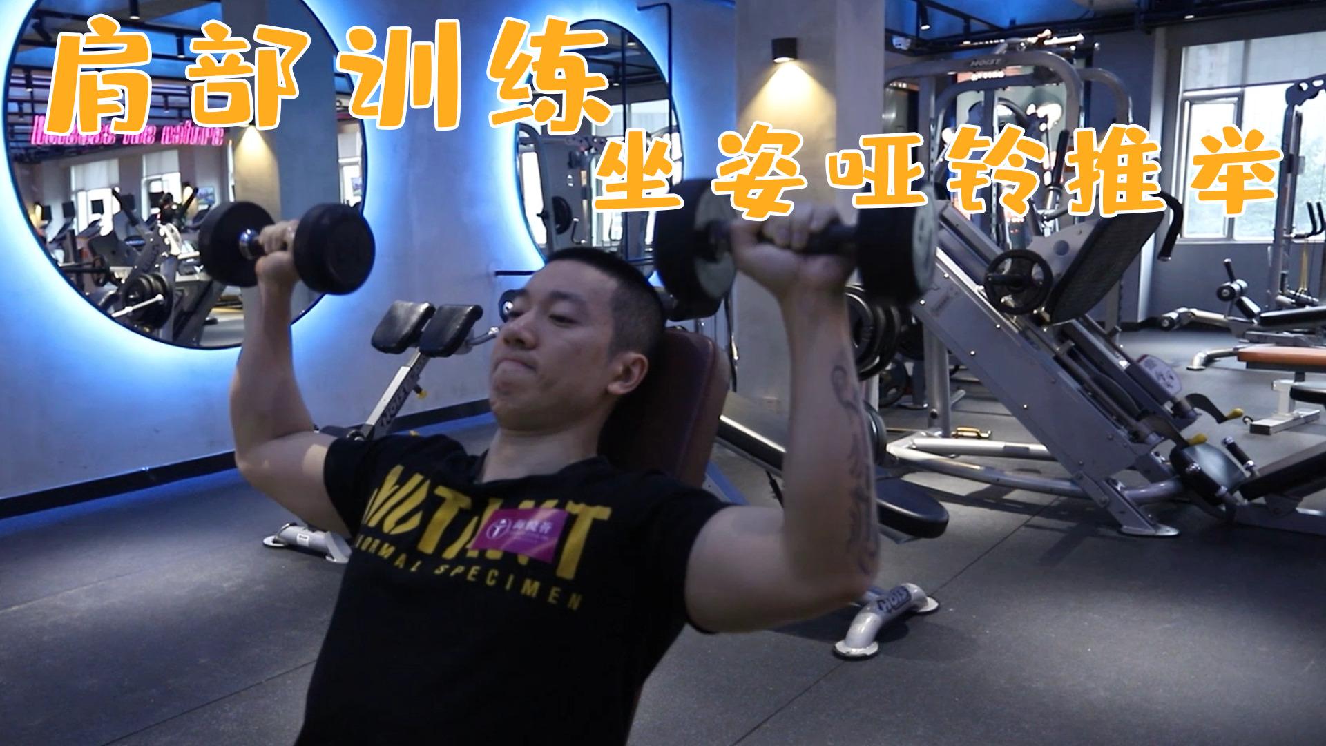 坐姿哑铃推举怎么做