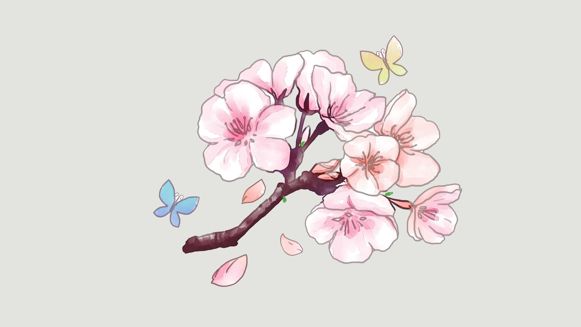 一朵桃花手绘图片