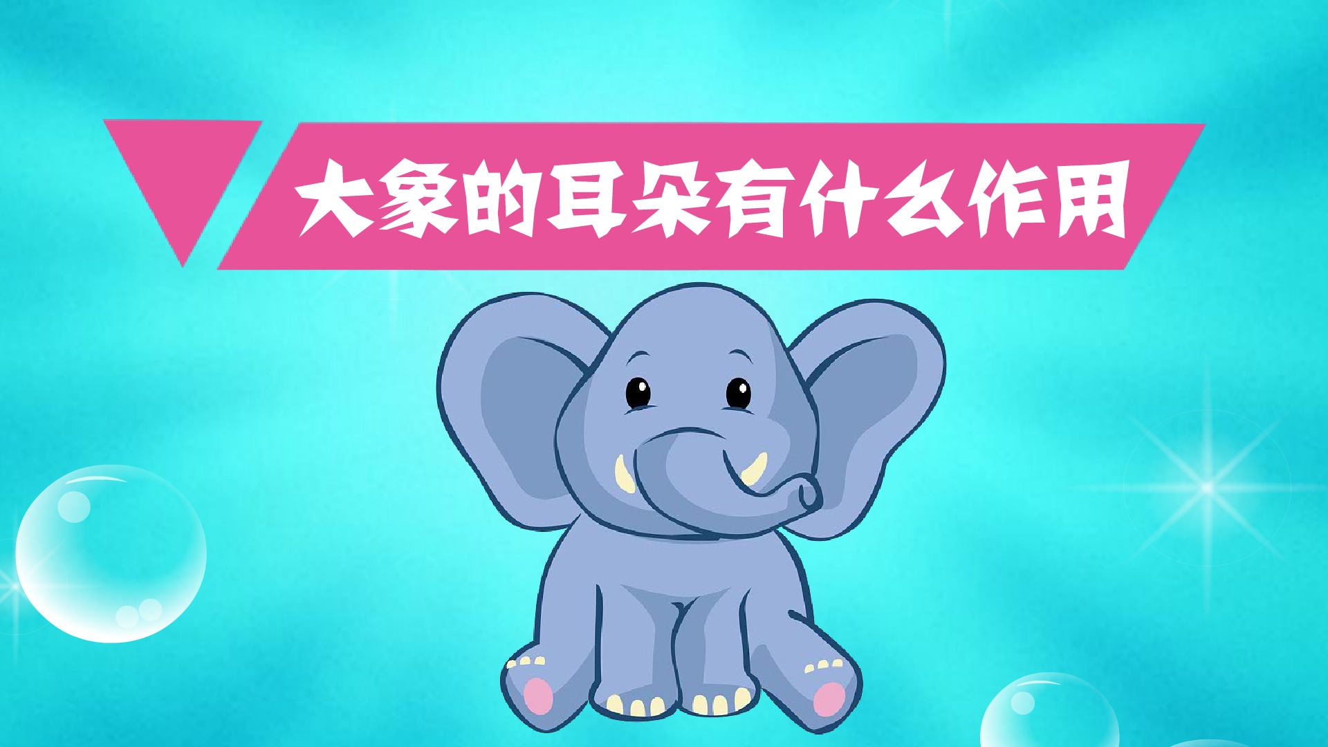 大象的耳朵有什么作用