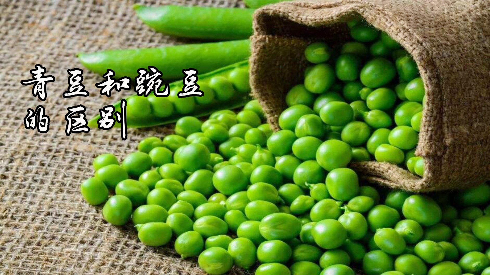 青豆和豌豆的区别