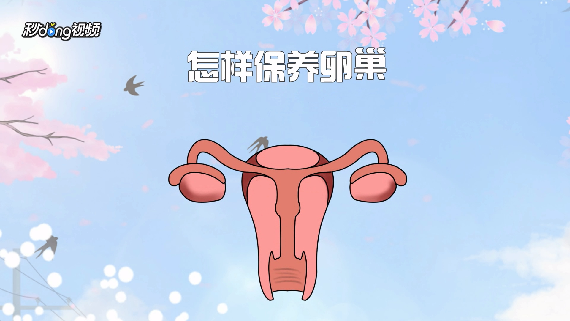怎样保养卵巢