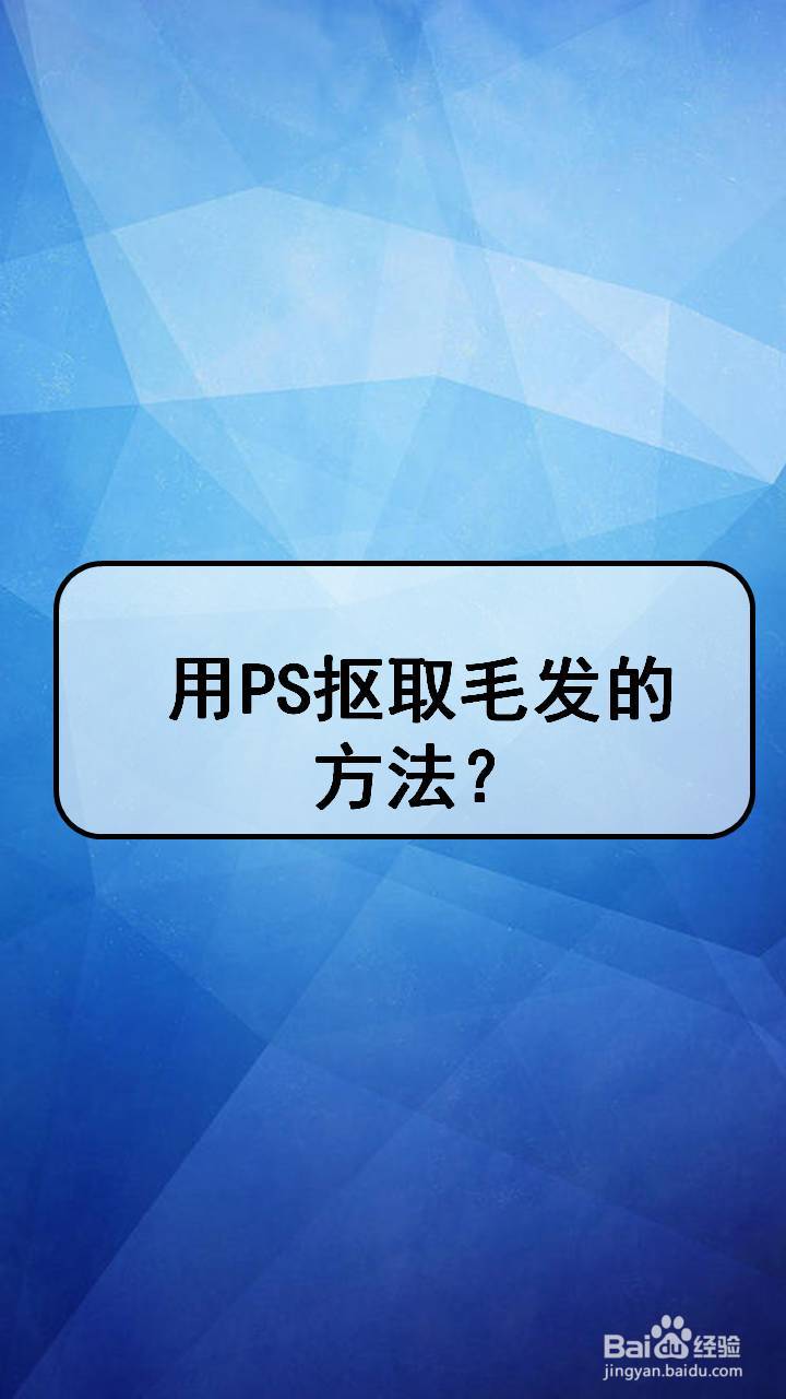 用ps抠取毛发的方法?