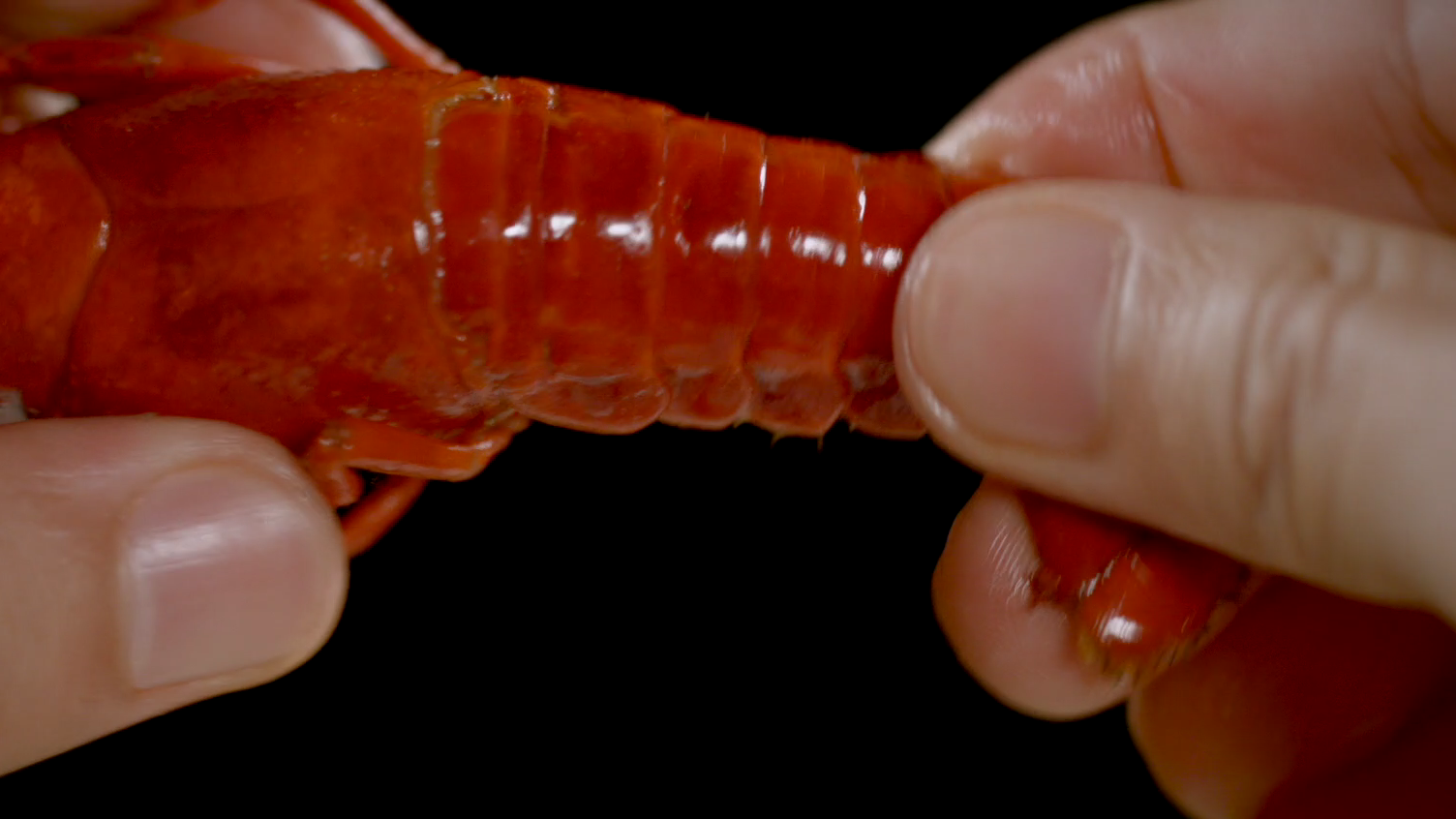 如何快速剥小龙虾