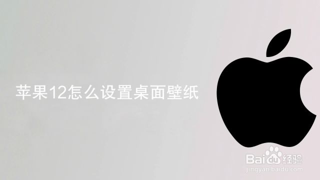 苹果12怎么设置桌面壁纸 百度经验