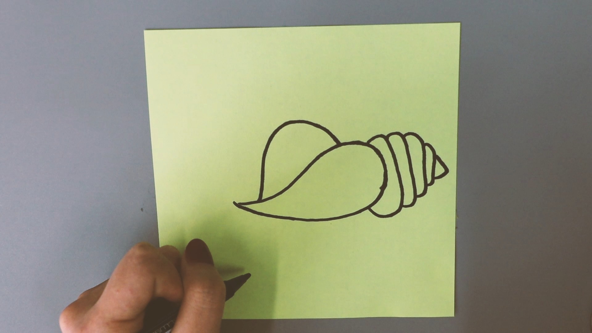 海螺的简笔画怎样画?
