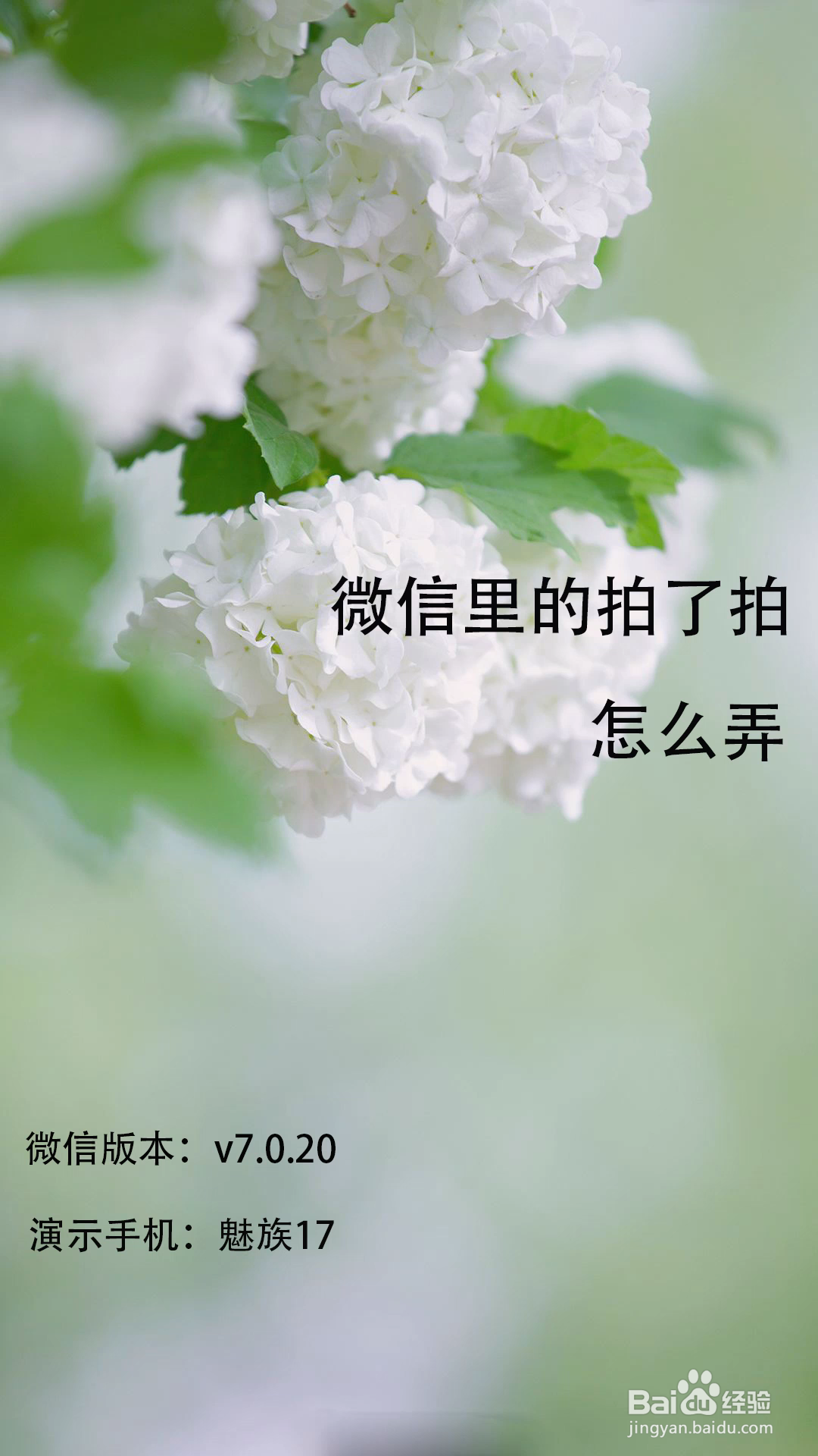 微信里的拍了拍怎么弄