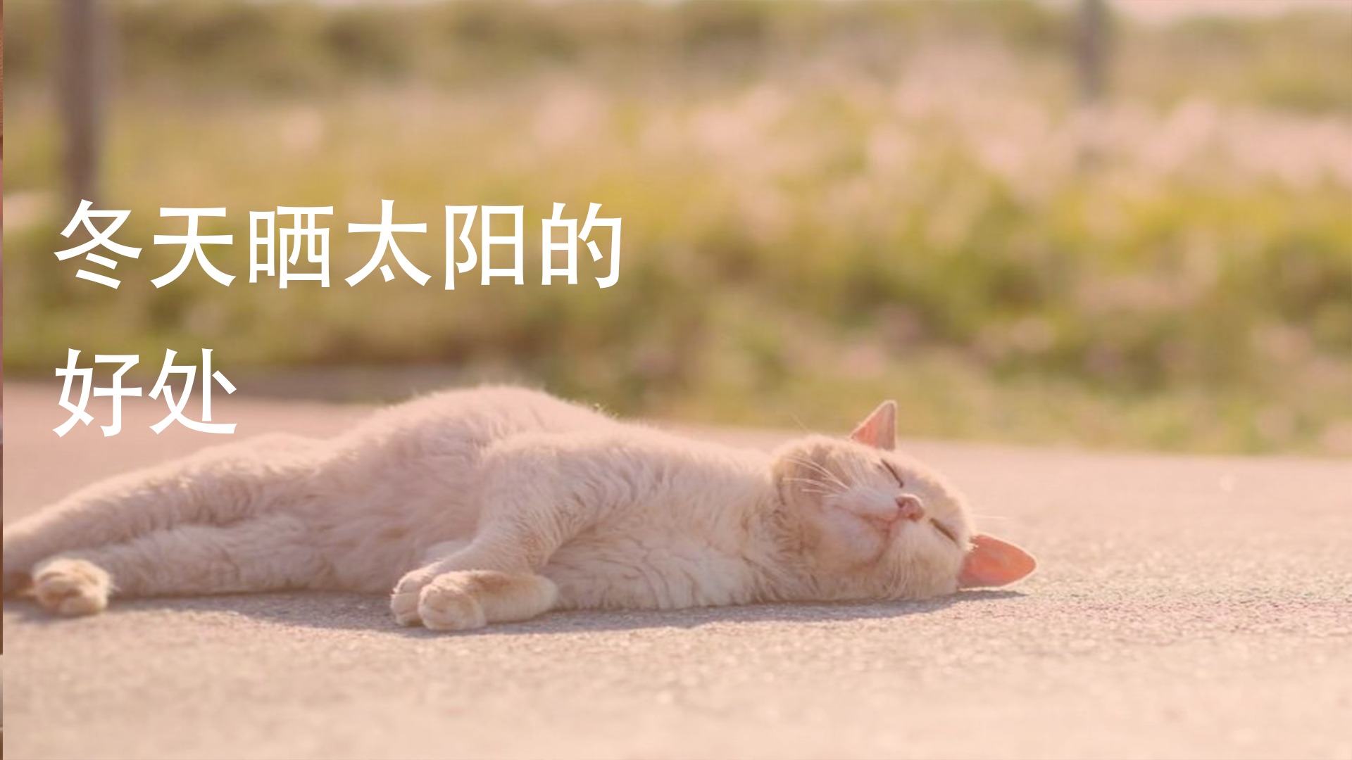 冬天晒太阳有哪些好处
