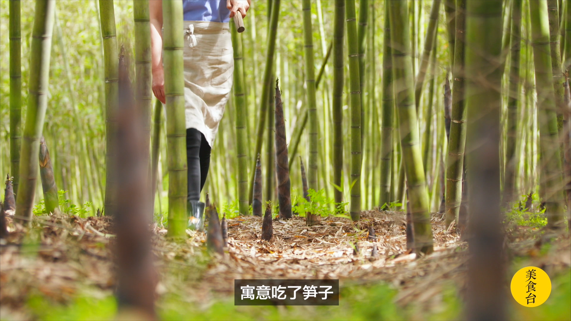 健脚笋做什么菜好吃?