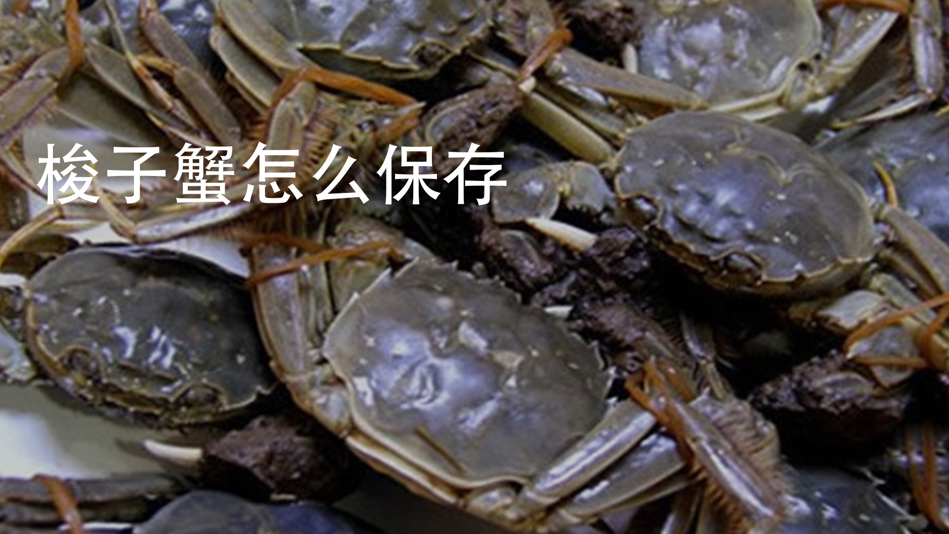 梭子蟹怎麼保存