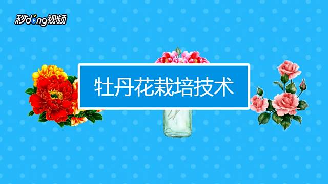 牡丹的栽培方法 百度经验 牡丹的栽培方法 百度经验