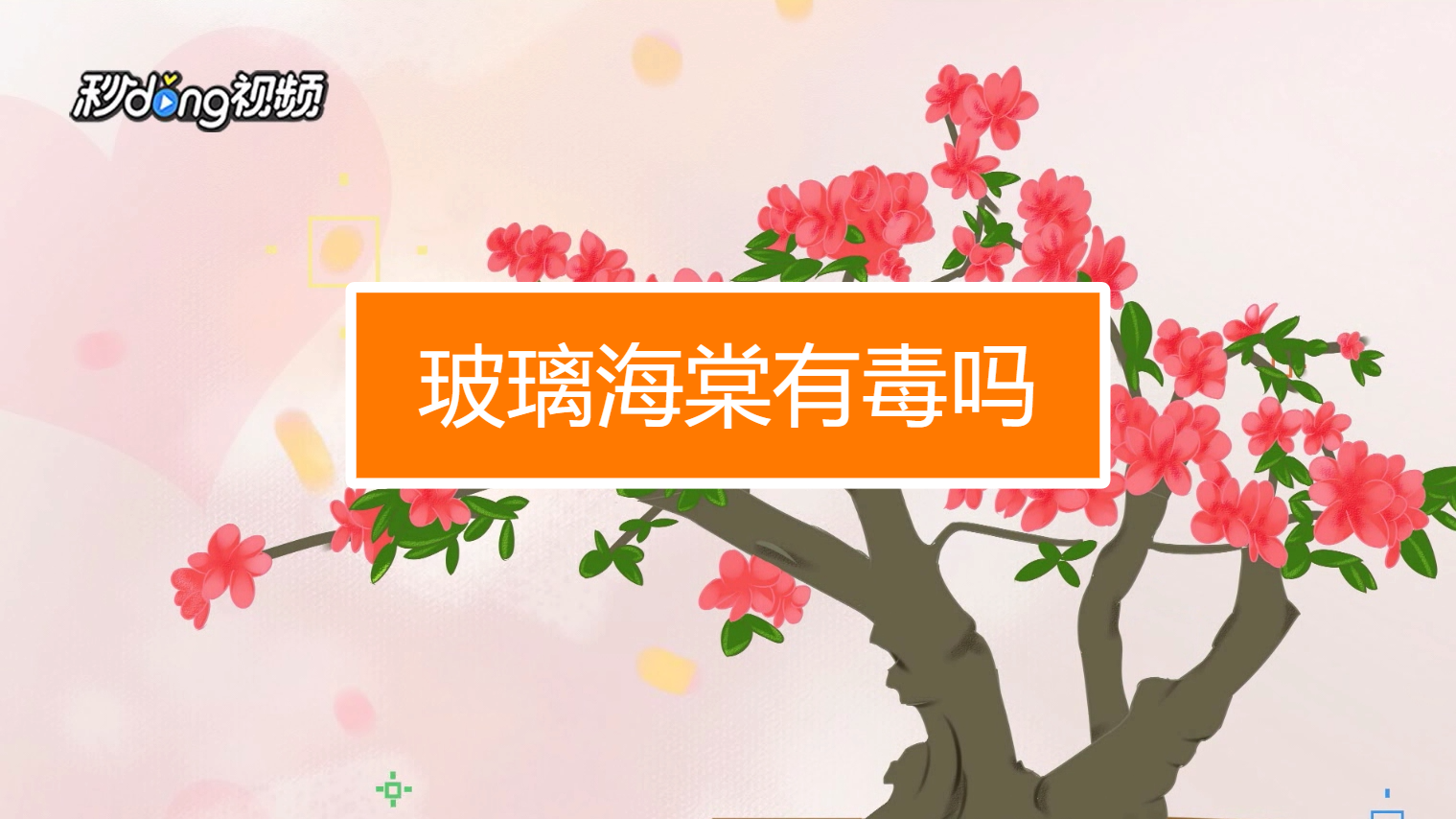 玻璃海棠有毒吗